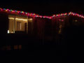 holy shit decorations.jpg